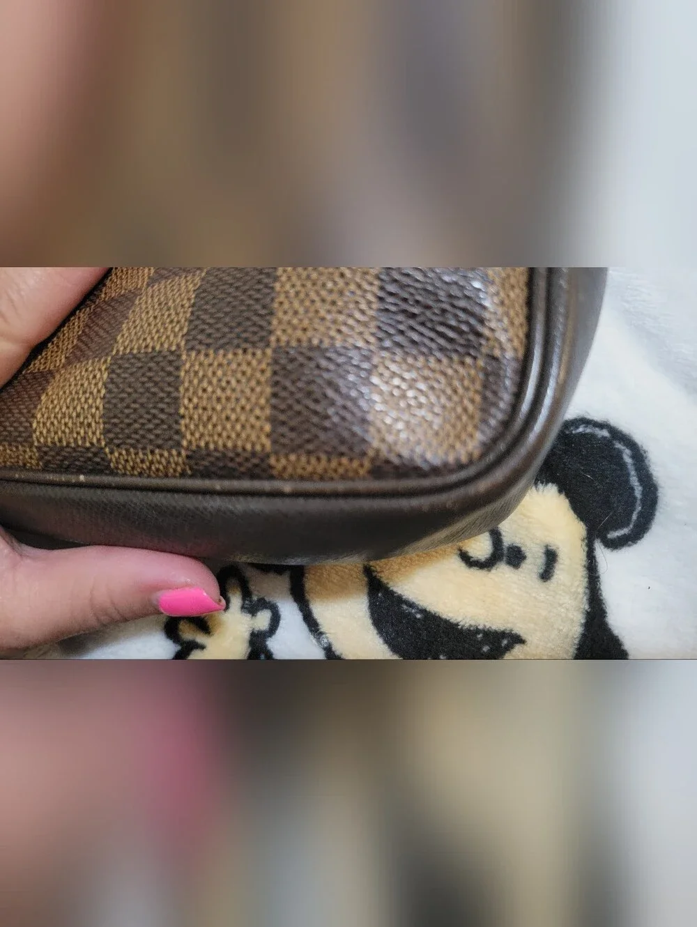 Louis Vuitton trousse pouch